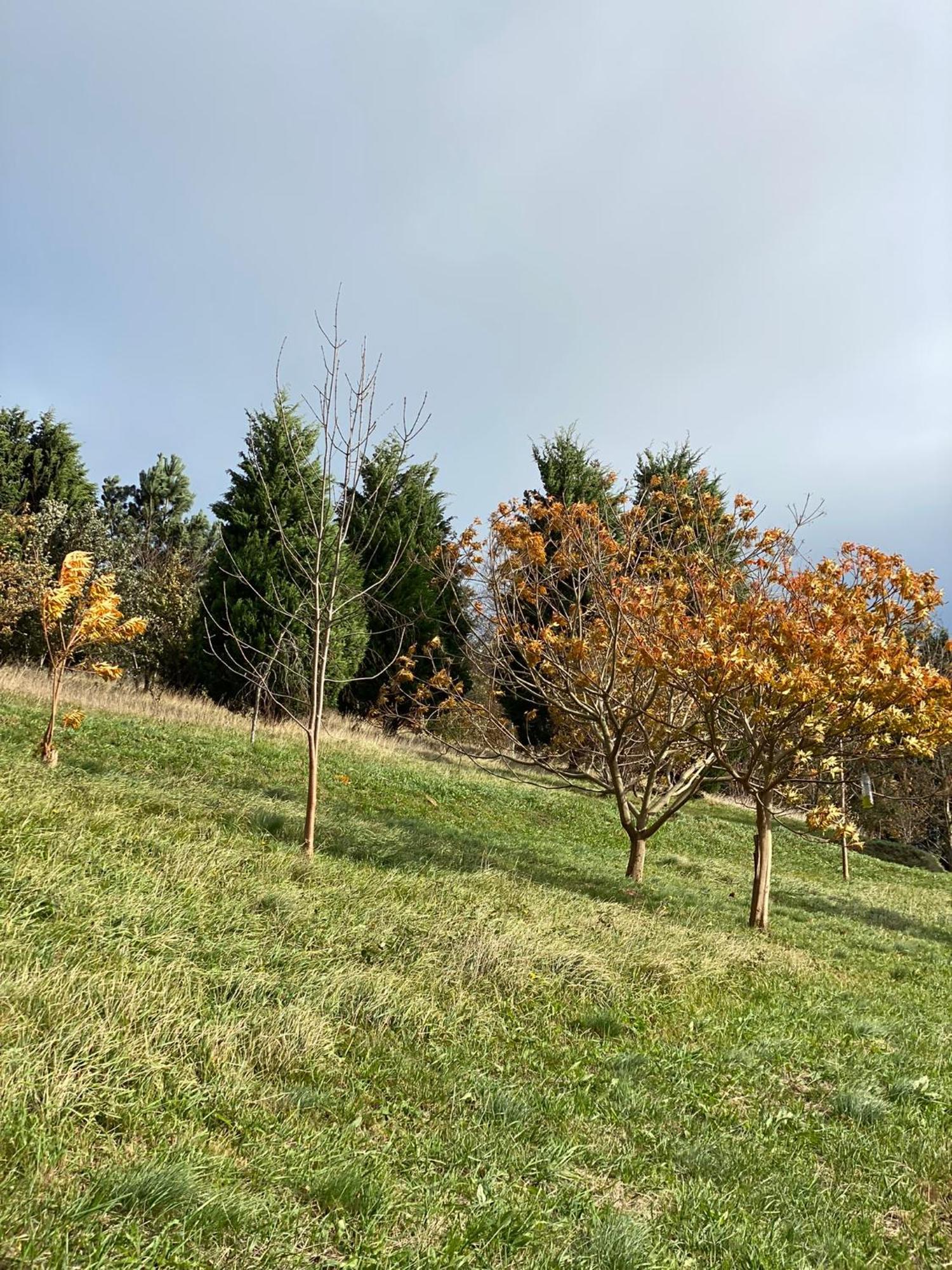 Finca Portizuelo Луарка Экстерьер фото