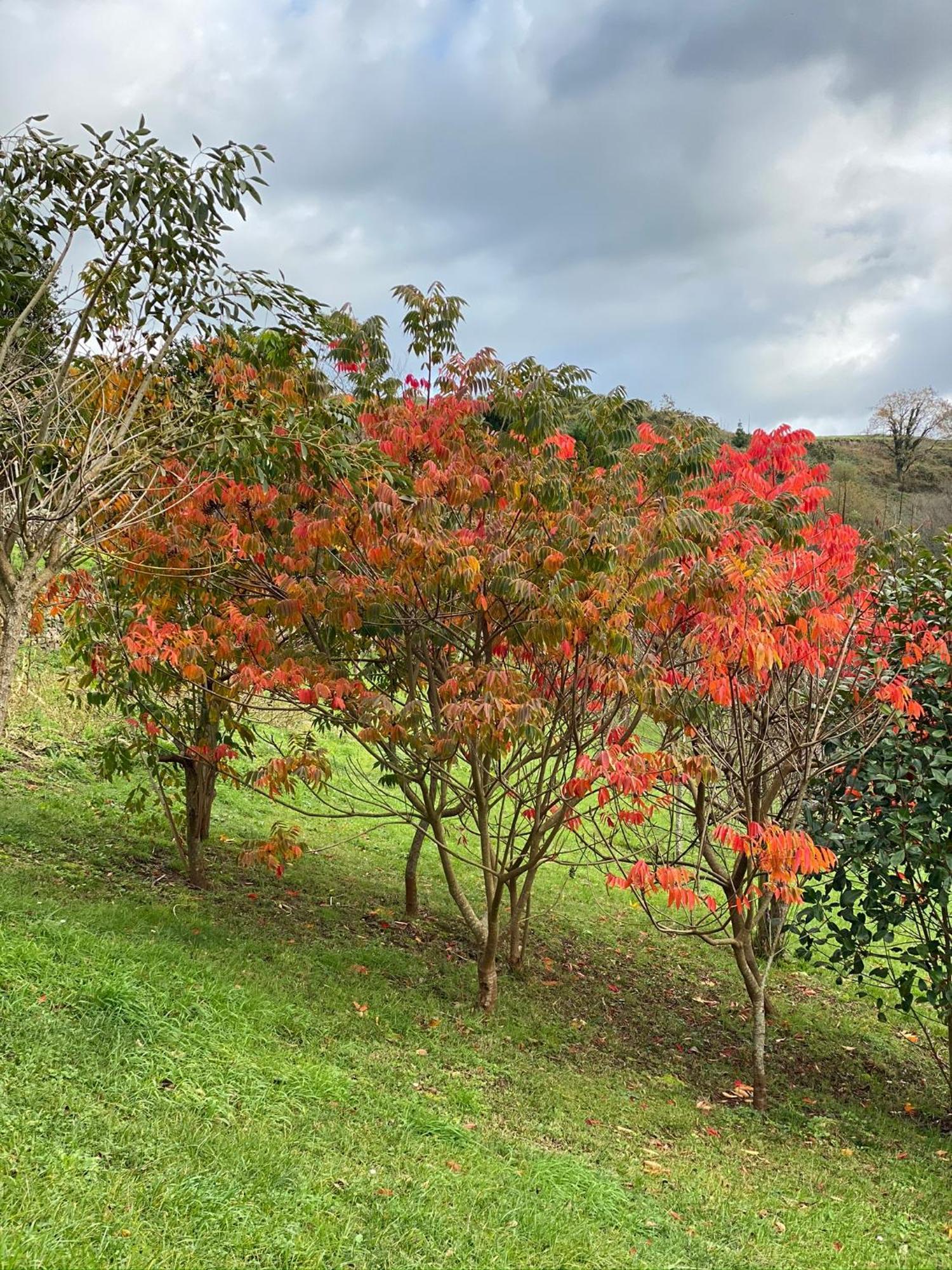 Finca Portizuelo Луарка Экстерьер фото