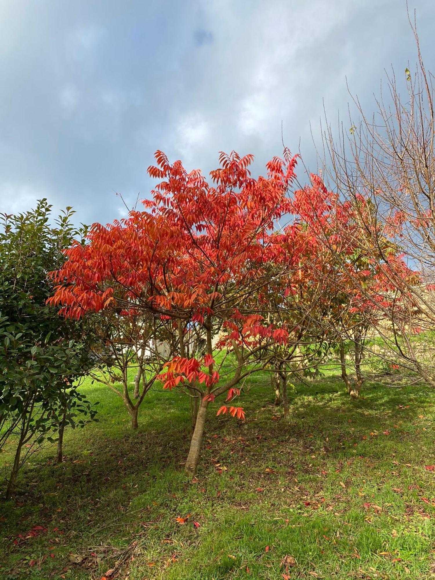 Finca Portizuelo Луарка Экстерьер фото