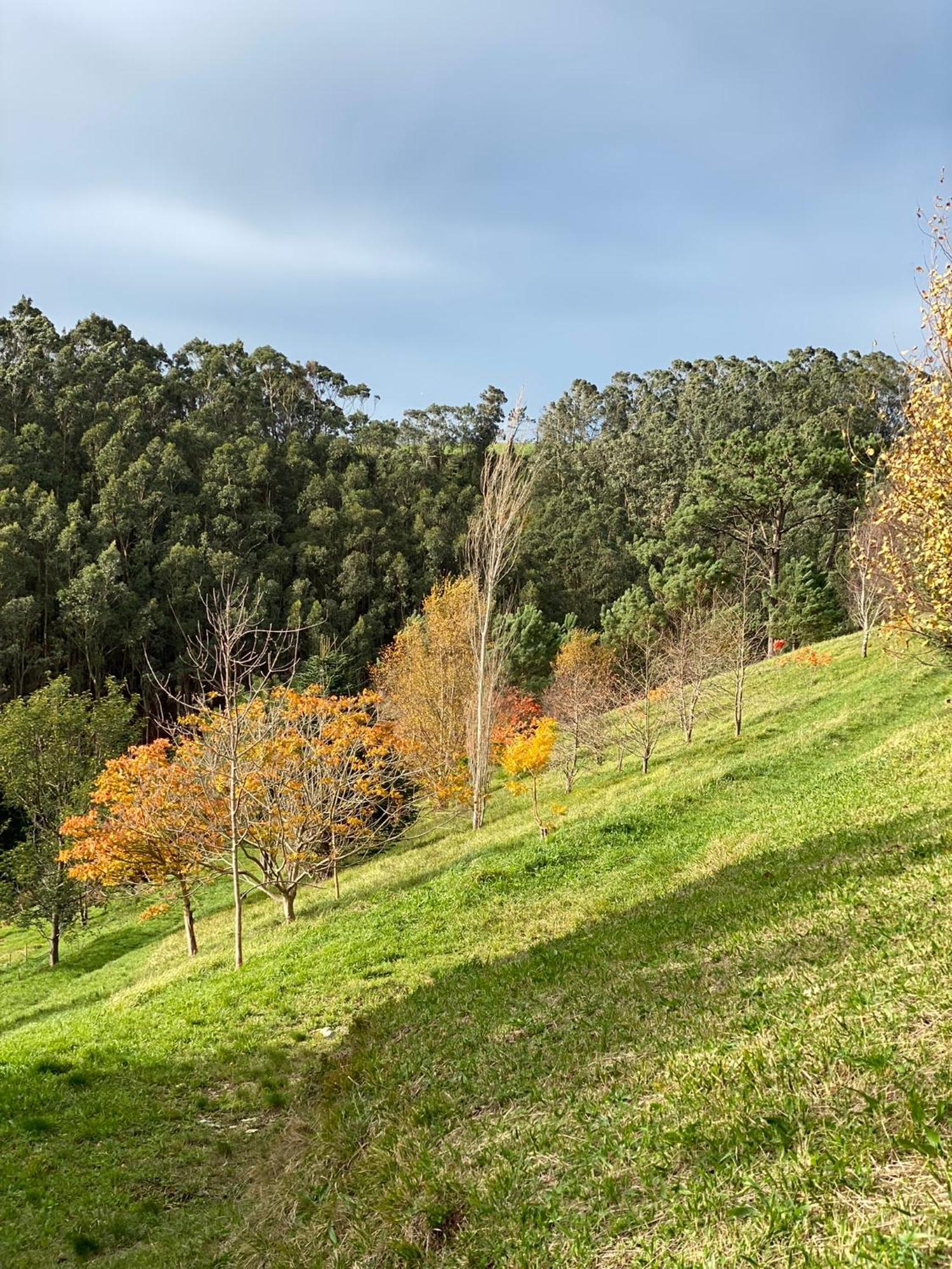 Finca Portizuelo Луарка Экстерьер фото